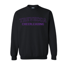 Load image into Gallery viewer, Trevecca Cheer Crewneck - Other Color Options Available