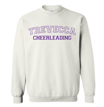 Load image into Gallery viewer, YOUTH Trevecca Cheer Crewneck - Other Color Options Available