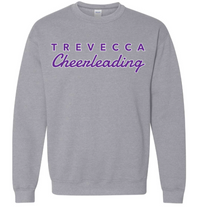 Load image into Gallery viewer, YOUTH Trevecca Cheerleading Crewneck - Other Color Options Available
